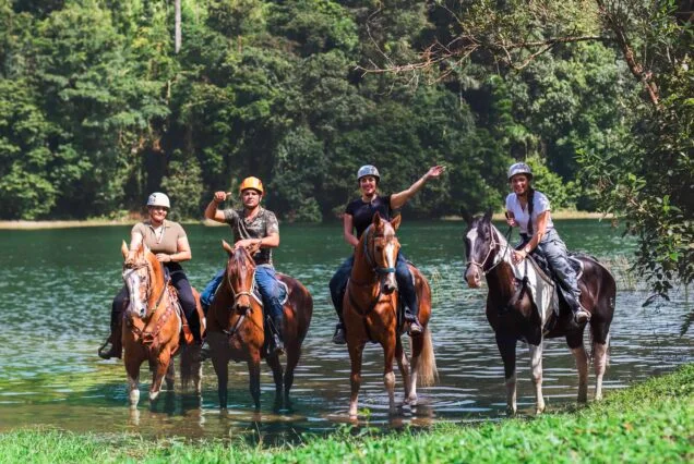 HORSEBACK RIDING TO THE WATERFALL